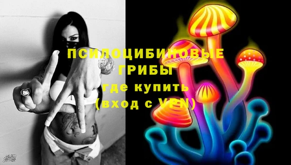 бошки Карпинск