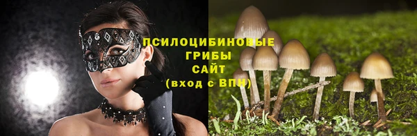 ГАЛЛЮЦИНОГЕННЫЕ ГРИБЫ Кодинск