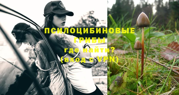 ГАЛЛЮЦИНОГЕННЫЕ ГРИБЫ Кодинск