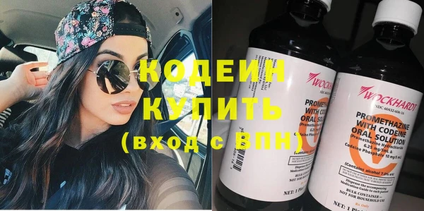 ГАЛЛЮЦИНОГЕННЫЕ ГРИБЫ Кодинск