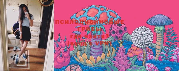 ГАЛЛЮЦИНОГЕННЫЕ ГРИБЫ Киренск