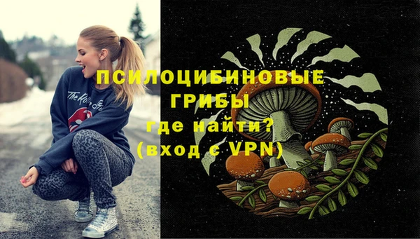 Альфа ПВП Касимов