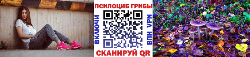мега зеркало  Уяр  Галлюциногенные грибы мицелий 
