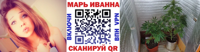 Бошки Шишки MAZAR  Уяр 
